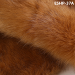 ESHP-37A-